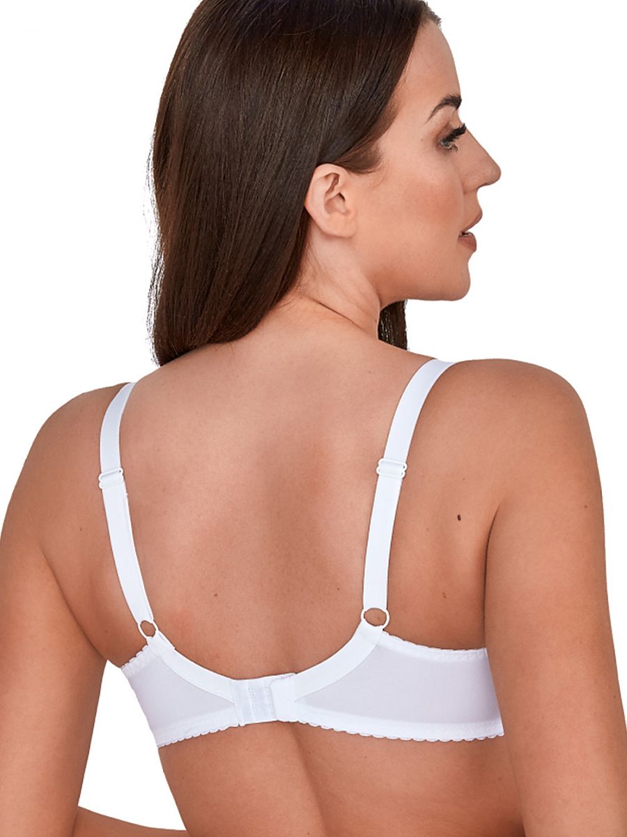 Soft model 189339 Gaia 