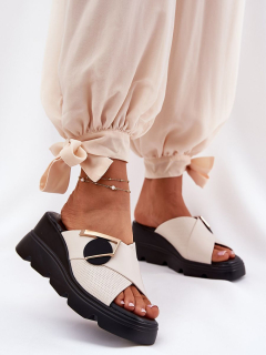 Pantofle  model 212347 Step in style 