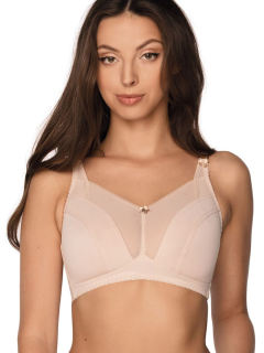Soft model 173296 Gaia 